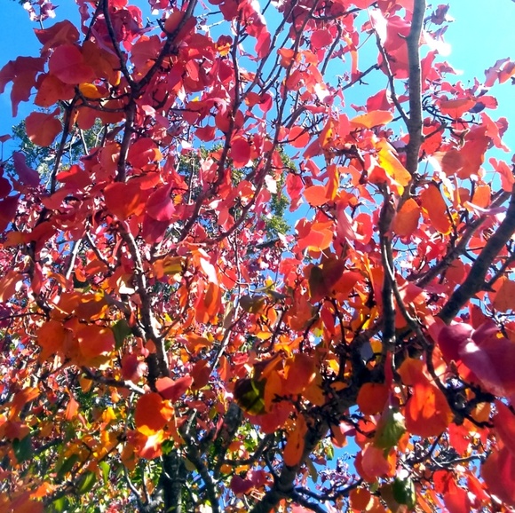 Meet your Posher, S.p. - Picture 1 of 1